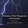 Principles of Risk Management and Insurance_13